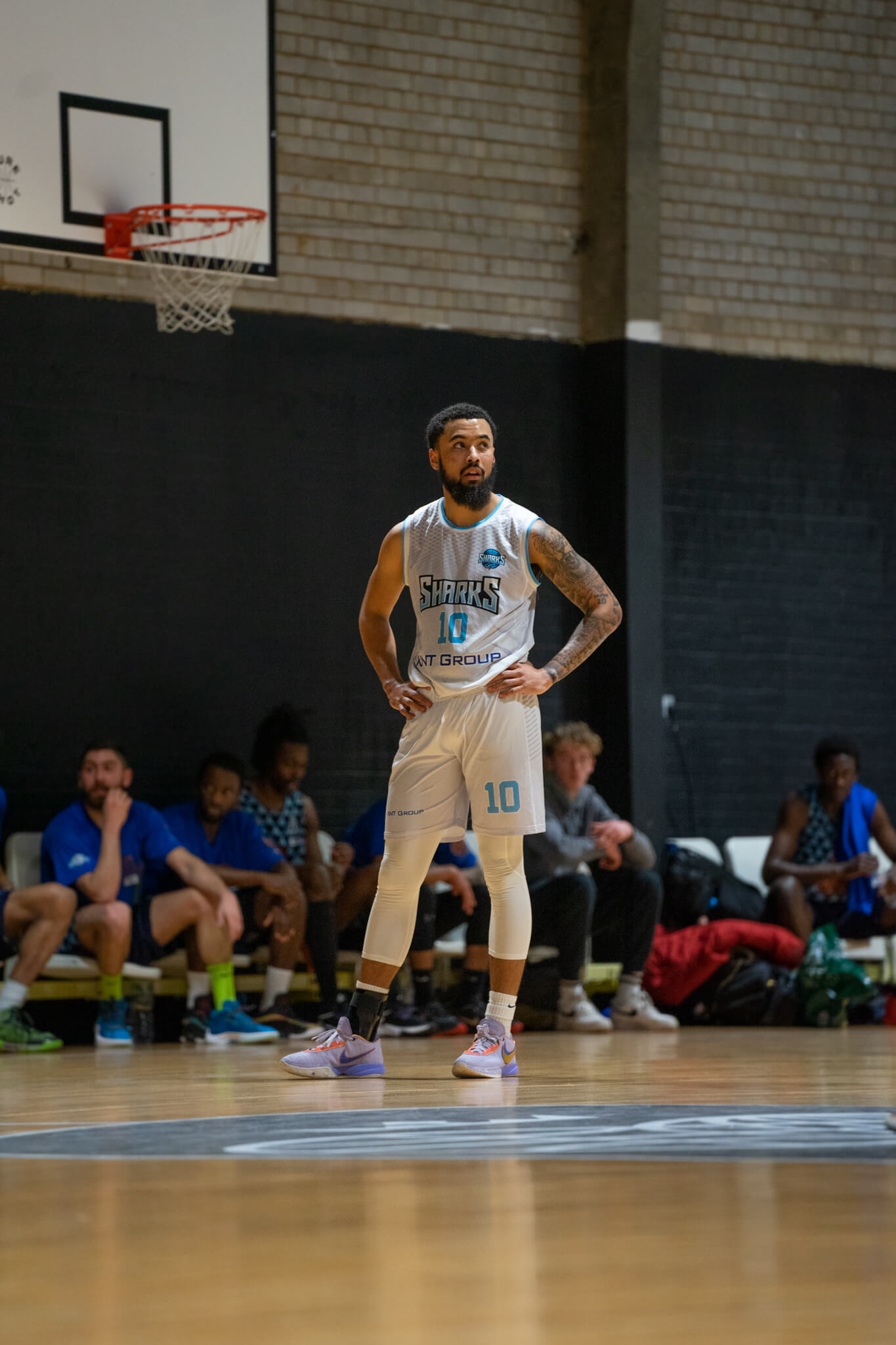 London Sharks (91)